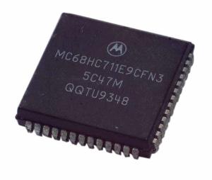 Plastic electrode chip carrier(PLCC)